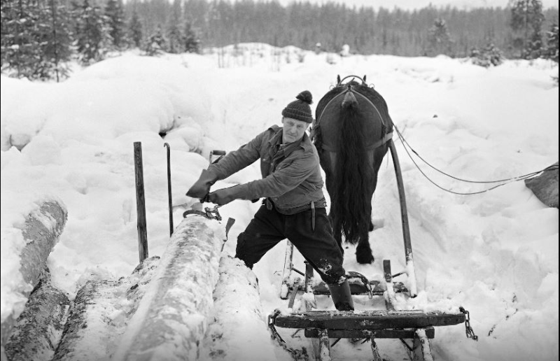 Historisk dokumentarfilm om skogbruket og skogsindustriens betydning for regionens vekst og utvikling